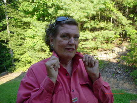 Sue Hansen Photo 32