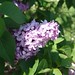 Deborah Lindley Photo 17