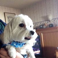 Carole Hunt Photo 22