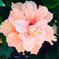 Cathy Walter Photo 33