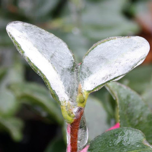 Regina Jordan Photo 19