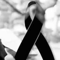 Cynthia Larriva Photo 1