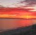 Susan White Photo 41