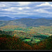 Virginia Mcdowell Photo 11