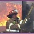 Adam Collett Photo 3