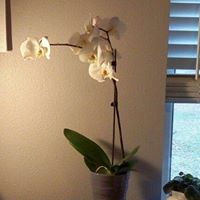 Barbara Abbott Photo 21