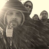 Suzanne Silver Photo 5