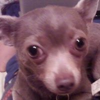 Sally Payton Photo 7