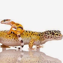 Angela Maier Photo 9