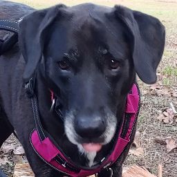 Michele Baldwin Photo 32