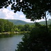 James Trout Photo 13