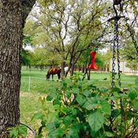 Nancy Kilgore Photo 17