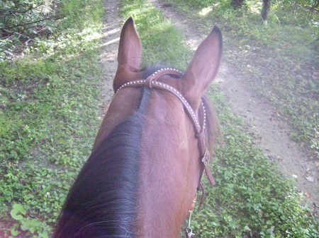 Debra Campbell Photo 7