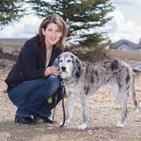 Allyson Abbott Photo 7