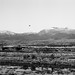 David Carrico Photo 14