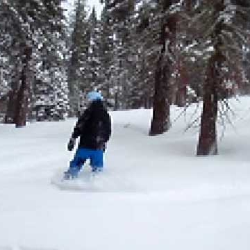 Justin Spicer Photo 11
