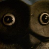 Laurie Woodward Photo 12