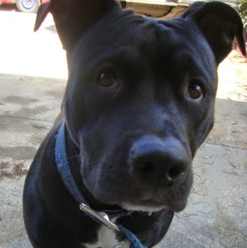 Julia Lawlor Photo 13