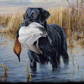 Jesse Hendrix Photo 15