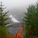 Misty Jackson Photo 45