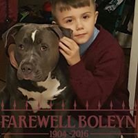 Stacy Westfall Photo 22