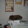 Teresa Welker Photo 8