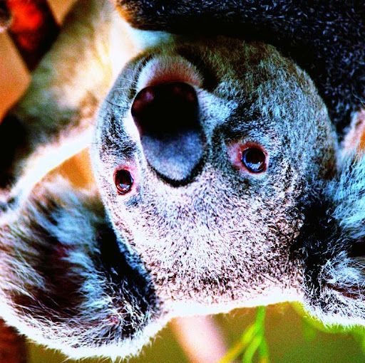 Charlene Porter Photo 18