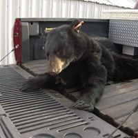 Jeremy Short Photo 16