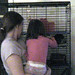 Amy Littleton Photo 26