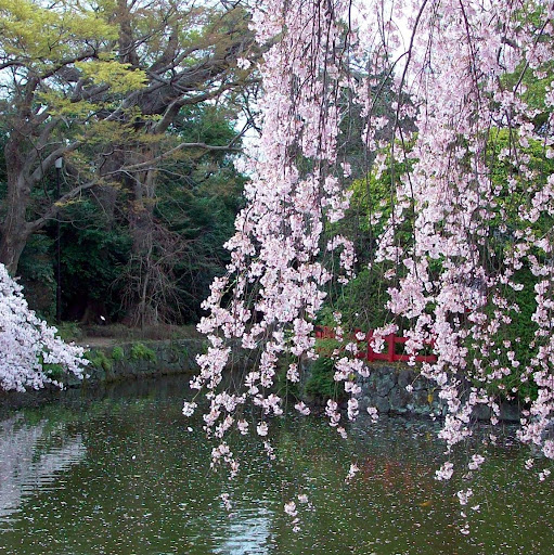 Kathleen Franks Photo 13