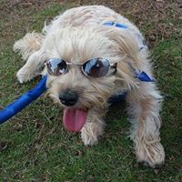 Julie Nabors Photo 18