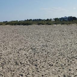 Michelle Foreman Photo 24