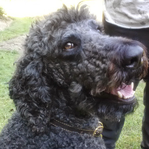 Jane Quigley Photo 16