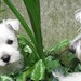 Marcy Day Photo 8