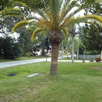 Martin Rocks Photo 4