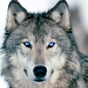 Martin Bowers Photo 32