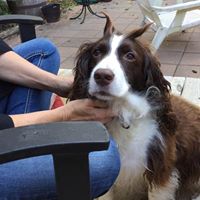 Terry Browne Photo 12