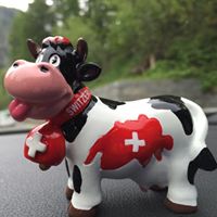 Christine Fusco Photo 16