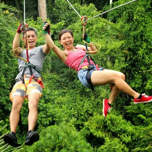 Gerard Lee Photo 28 Gerard Lee Photo 28