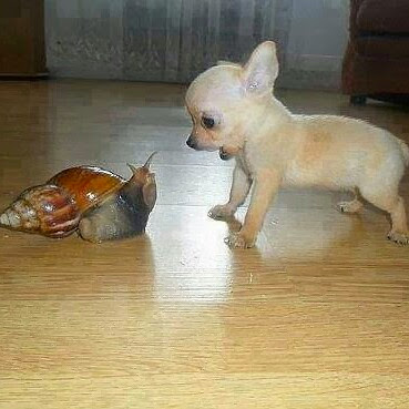 Brenda Rogers Photo 12