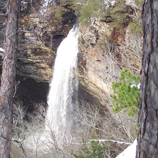 Julian Reynolds Photo 12