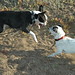 Bobby Roscoe Photo 14