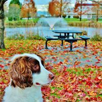 Leslie Sharpe Photo 23