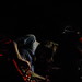 James Sheehan Photo 37