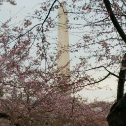 Renee Mcginnis Photo 3