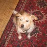 Martha Mcdowell Photo 6