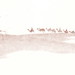 Louis Goetz Photo 11