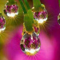 Awilda Rivera Photo 42