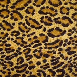 Edward Davidson Photo 30