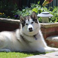 Susan Michie Photo 14 Susan Michie Photo 14